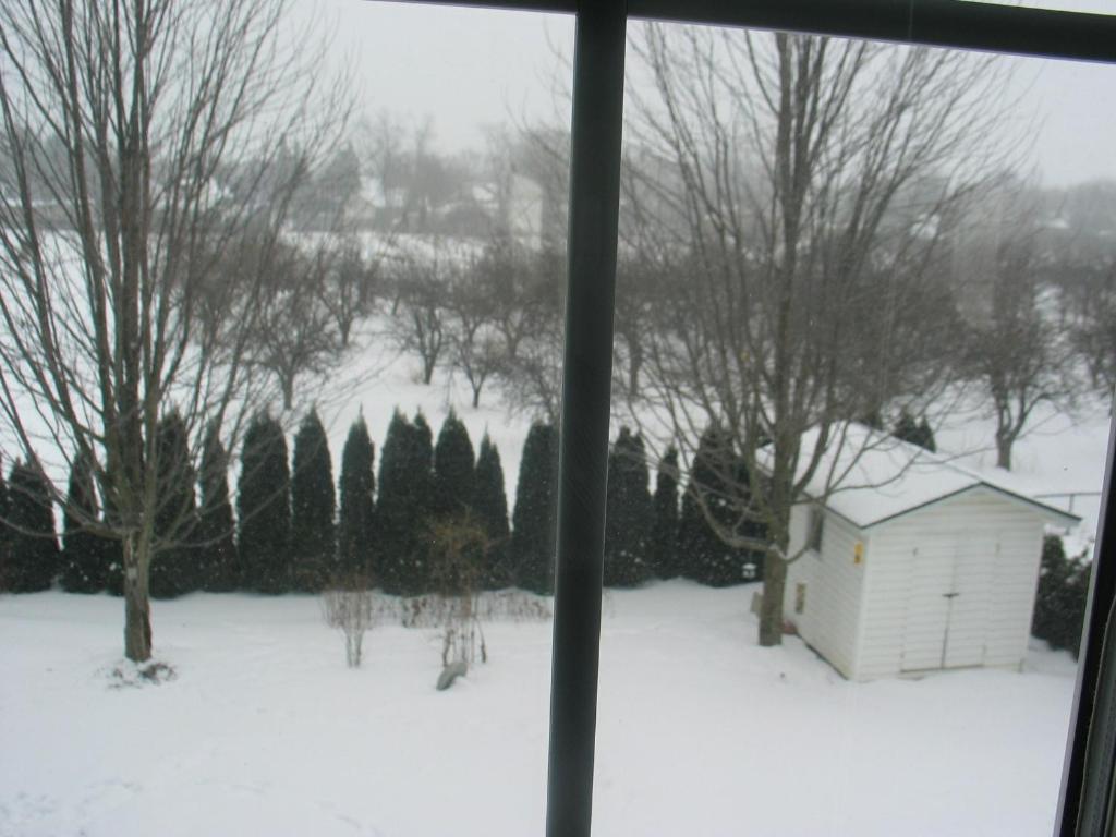 Arnica Bed & Breakfast Niagara-on-the-Lake Exterior foto